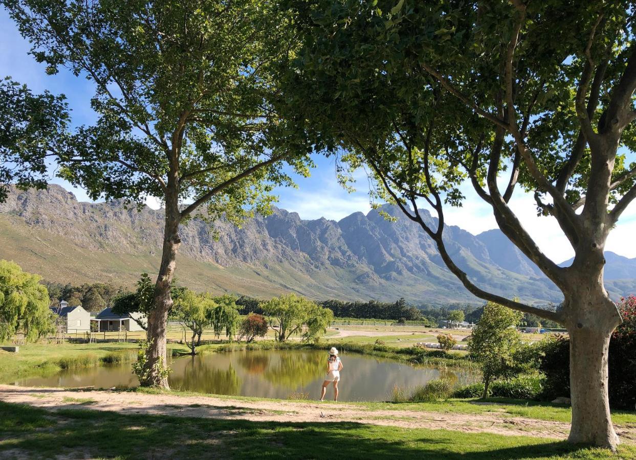 Jardin De La Ferme Villa Franschhoek Exteriör bild